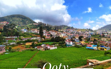 Top Attractions in Ooty: Must-Visit Places to See and Sightseeing Spots