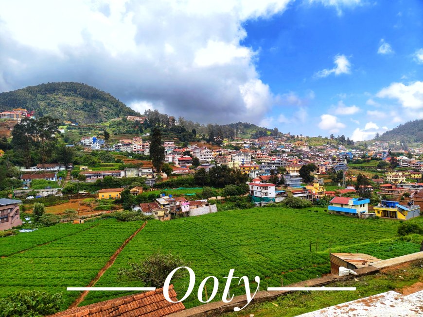Top Attractions in Ooty: Must-Visit Places to See and Sightseeing Spots